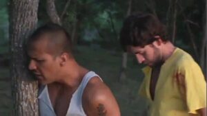 Filme amor bandido gay