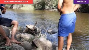 Xvideos amador grupal brasil gay novinhasndo leite