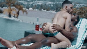 Interracial gays muscular twinks