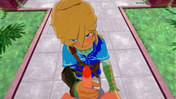 Is link gay