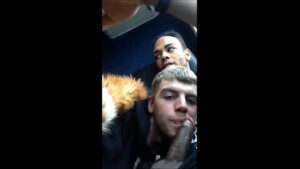 Sucking friend sleeping gay