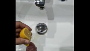 Banco de imagens comida limão chave lima fruta novinhasr citrino nude sex